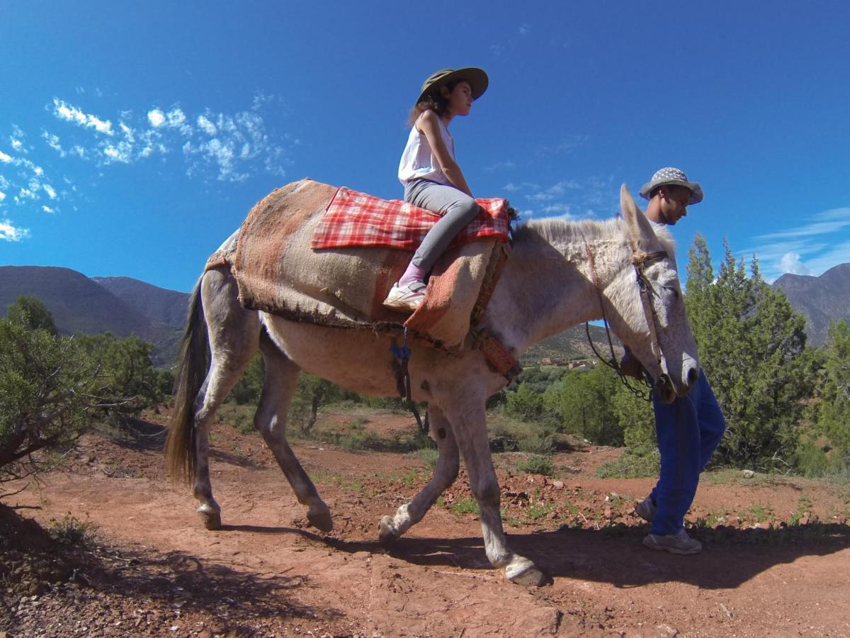 Kasbah Africa Bed & Breakfast Ouirgane Ngoại thất bức ảnh