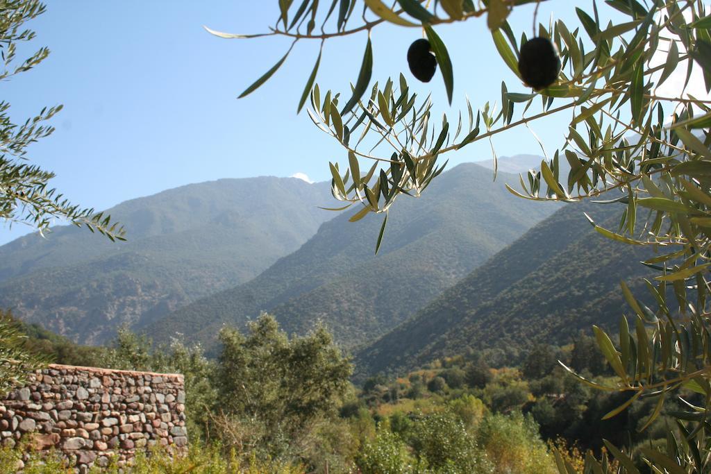 Kasbah Africa Bed & Breakfast Ouirgane Ngoại thất bức ảnh